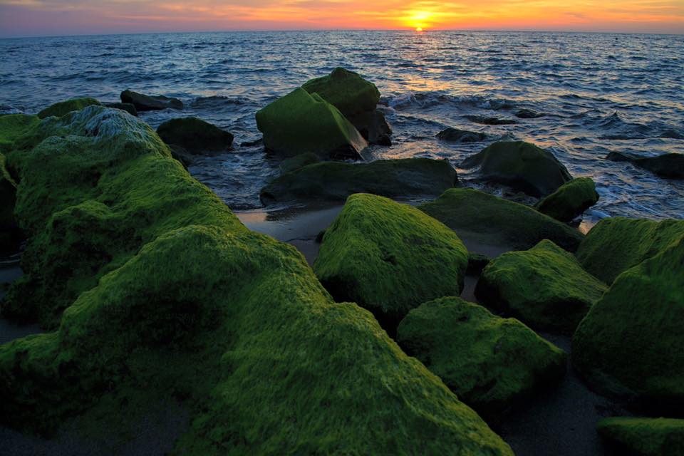 Le mareggiate emulsionanti